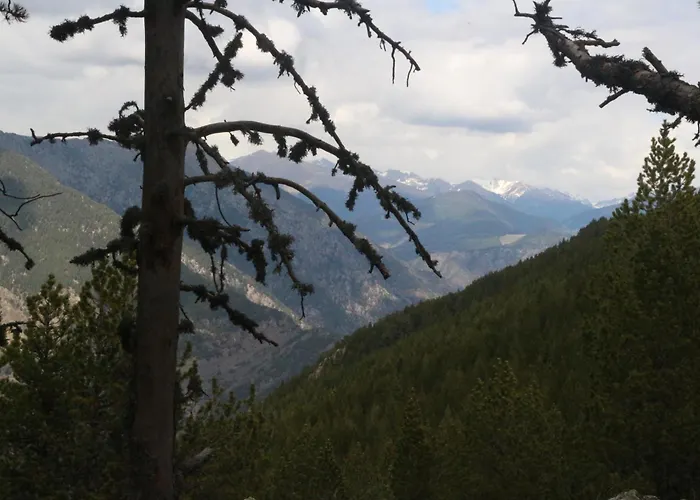 Maison Du Roy/ Upper Cambers Saint-Antonin