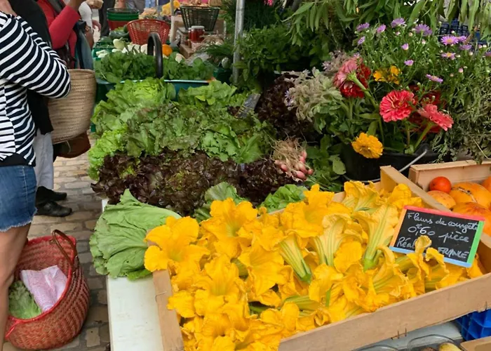 Apartamento Maison Du Roy/ Upper Cambers Saint-Antonin