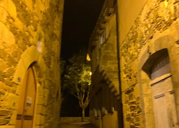 Maison Du Roy/ Upper Cambers Apartment Saint-Antonin