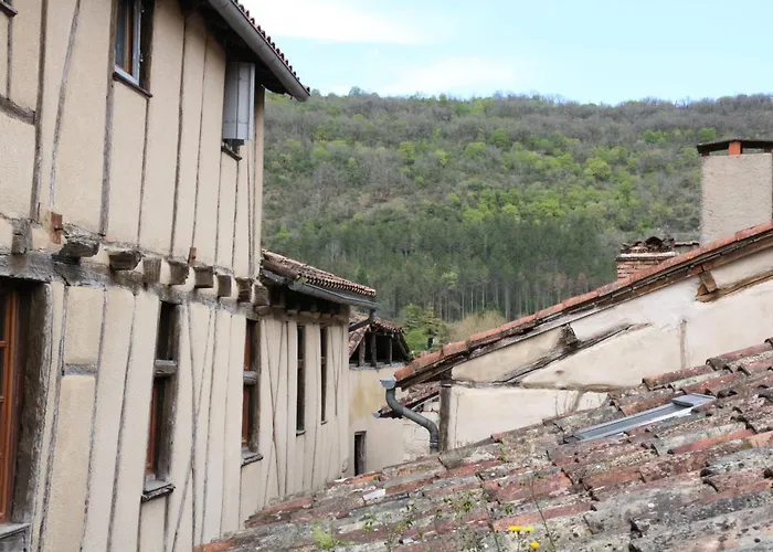 Apartment Maison Du Roy/ Upper Cambers Saint-Antonin