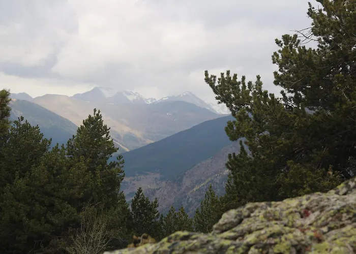 Maison Du Roy/ Upper Cambers Apartment