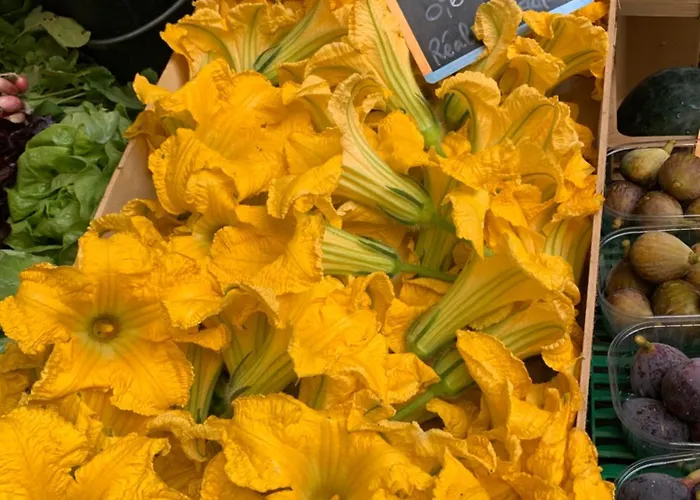 Maison Du Roy/ Upper Cambers Appartamento Saint-Antonin